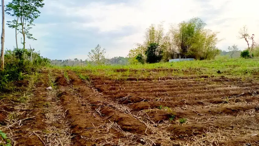 Tanah murah mojo kediri