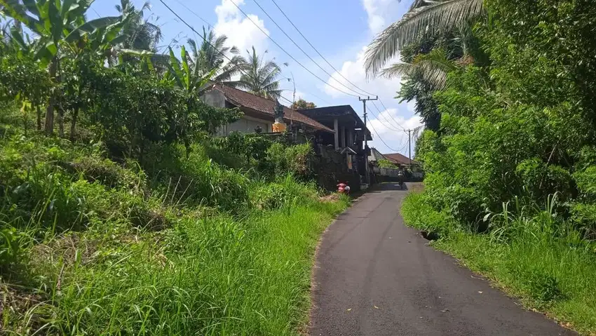 Jual kebun kopin dengan view sunset yang cantik di tabanan bali