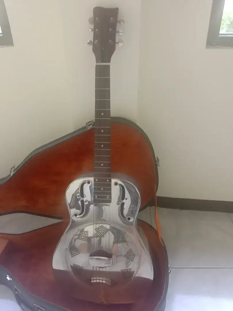 Untuk kolektor gitar akustik stainless steel