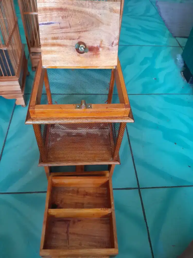 Kandang jangkrik jati