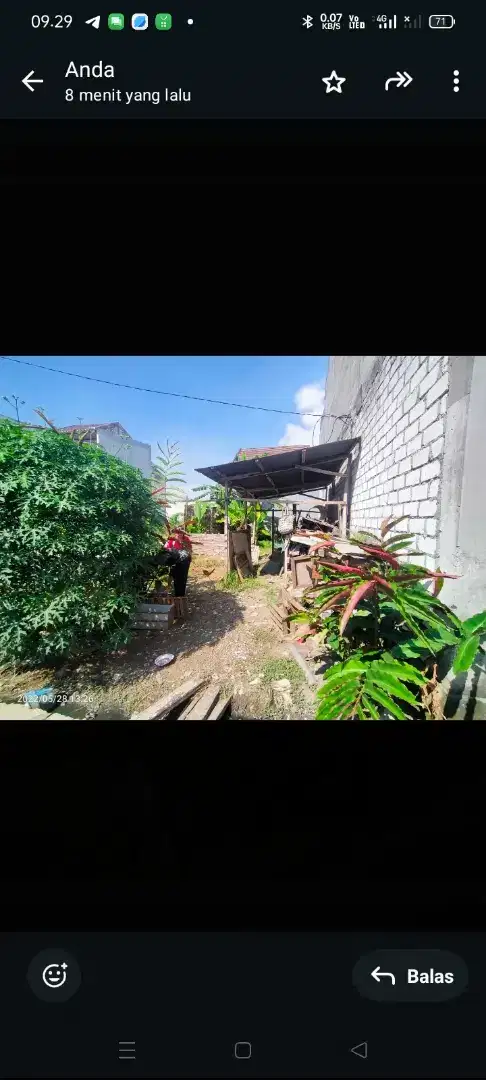 Jual Cepat Tanah Di Boteng