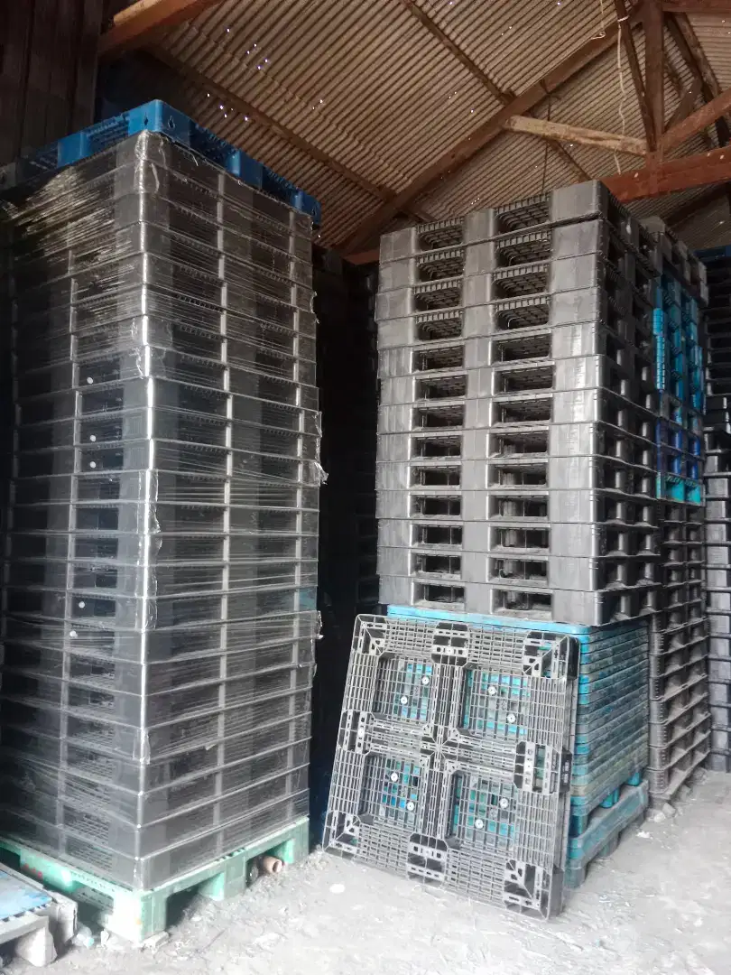 Distributor pallet plastik second murah palet plastik bekas bagus