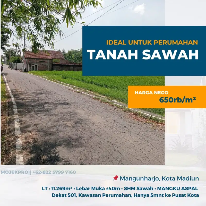 Tanah Sawah Luas Ideal Untuk Perumahan