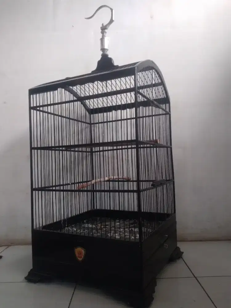 Kandang kosan DSS NO 2 buat kicau mania minat wa