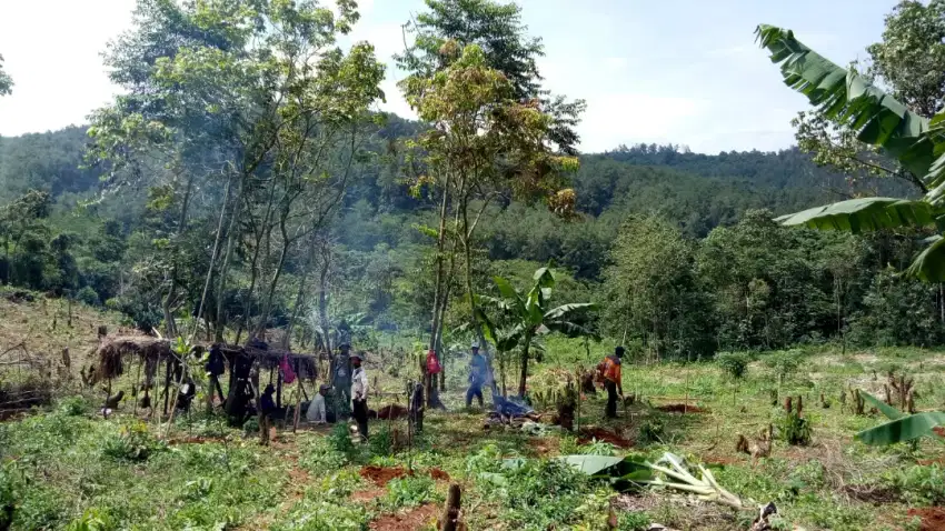 LAHAN KEBUN DATAR | Untuk Pertanian, Peternakan, Ekowisata