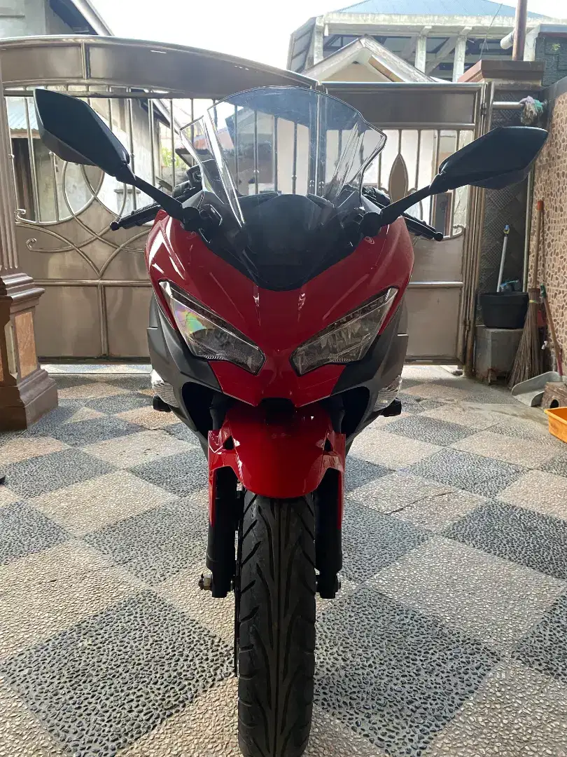 New Ninja 250 Fi