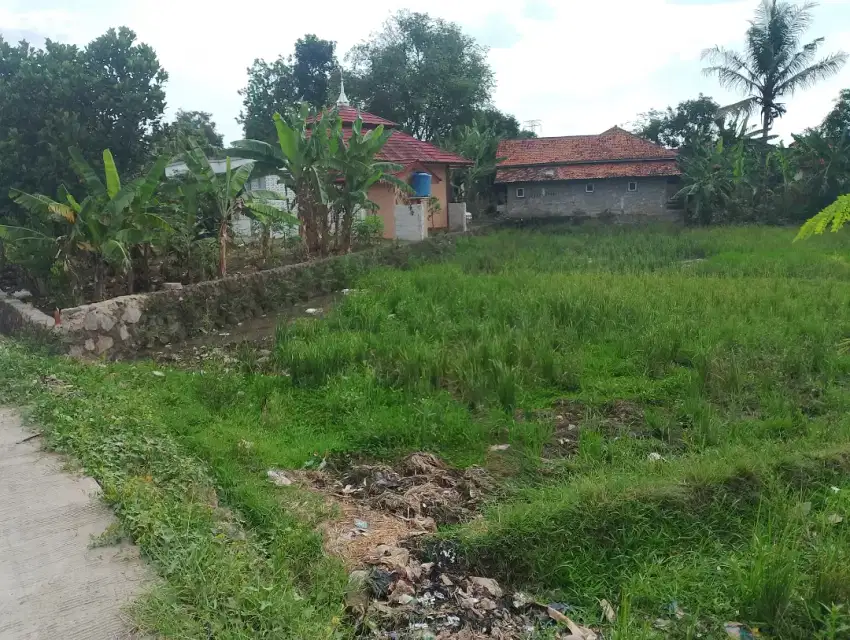 Dijual tanah sawah