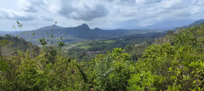 Idyllic Surroundings of 2955 sqm land for sale in Talibeng, Karangasem