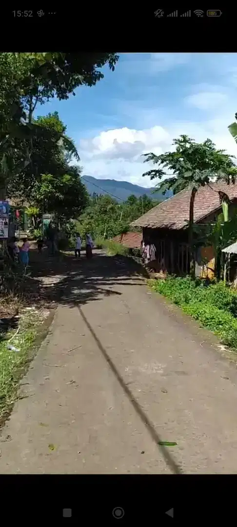 Tanah kebun murah tol bocimi Hak milik