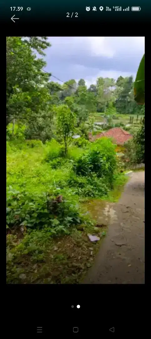 Dijual Murah Tanah 228M2 Cibingbin Purwakarta