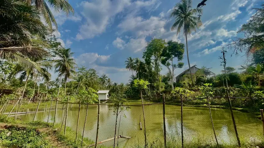 Dijual Murah Tanah dan Kolam Ikan di Dekat Wisata Cirata Bandung Barat