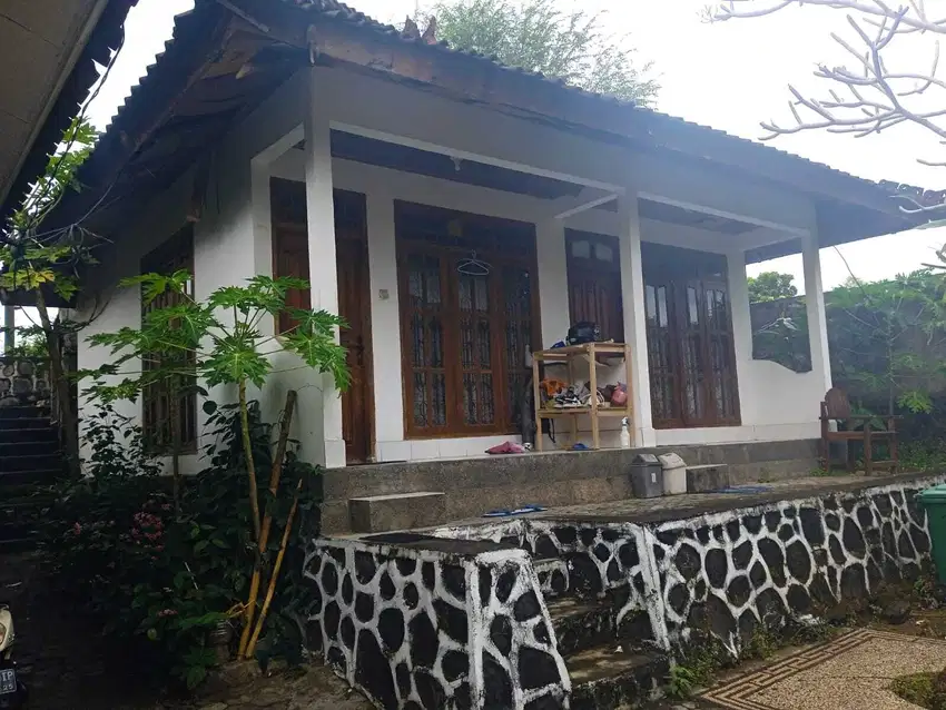 Homestay di pinggir jalan raya Kuta