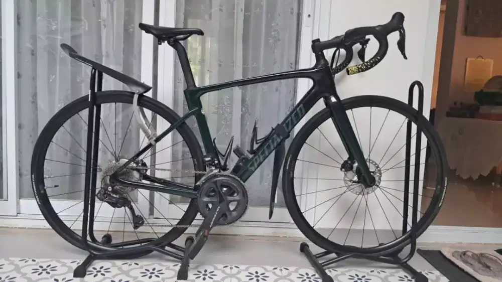 Dijual   Roubaix Expert 2021 original