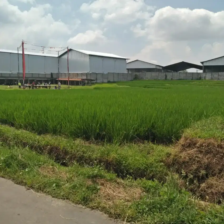 DIJUAL TANAH SAWAH LOKASI STRATEGIS 1.820 m²  INDIHIANG, TASIKMALAYA