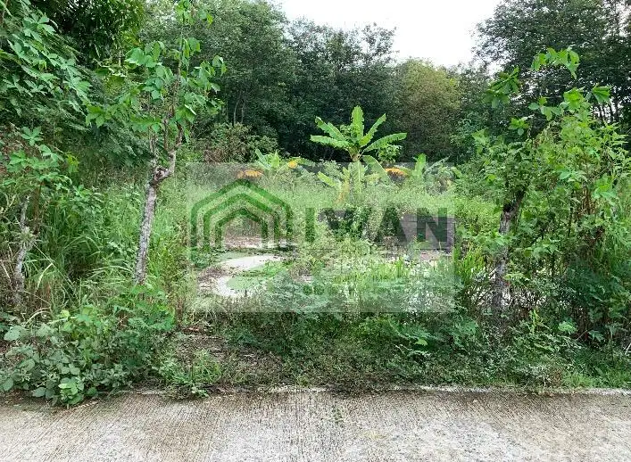 Tanah Kering/Pekarangan Luas & Murah Ada View Bagus Dekat Exit Tol