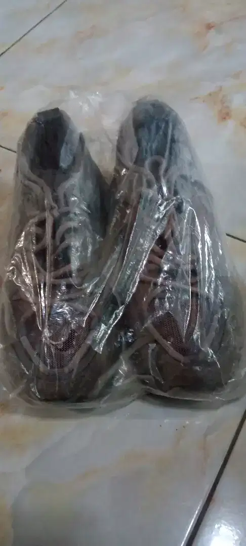 Sepatu New Panary Body