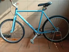 Fixie united solois