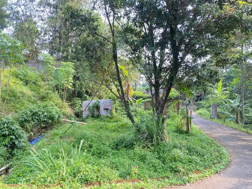 tanah cijeruk pinggir jalan utama mata air besar harga murah strategis