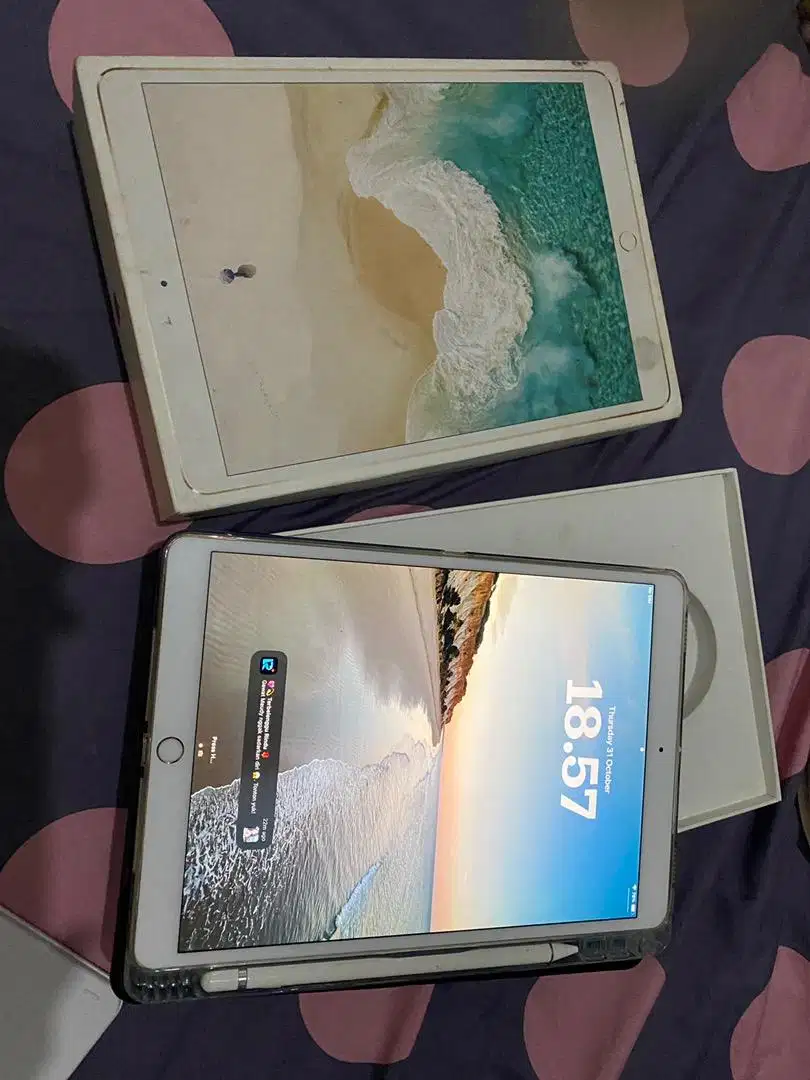 Ipad Pro 10.5 inch ex Ibox (Wifi + Cellular) TT BT