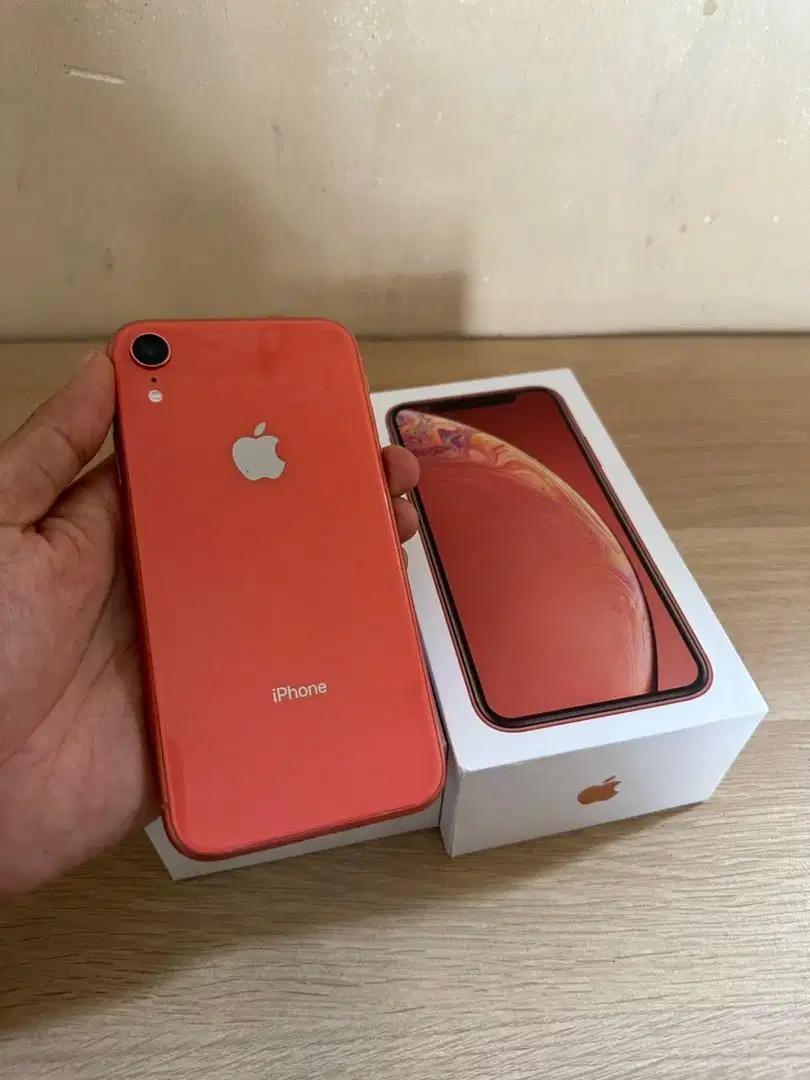 iphone xr 64gb coral beacukai