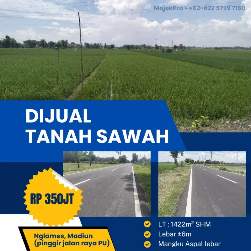 DIJUAL TANAH SAWAH PINGGIR JALAN ASPAL PU