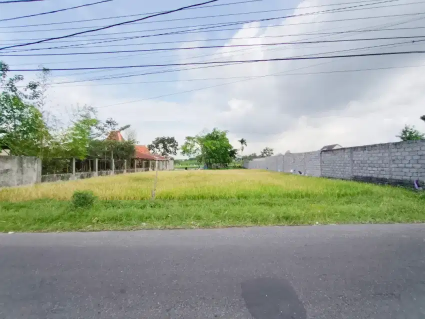 Tanah Strategis Pekarangan Tepi Jalan Umbul Permai / Utara Jalan Damai