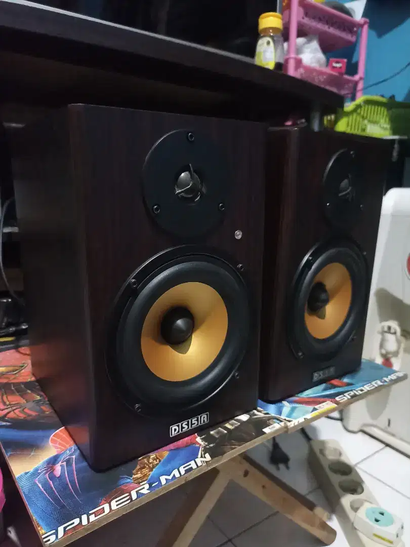 Speaker dolphin DS5A flat monitor recording