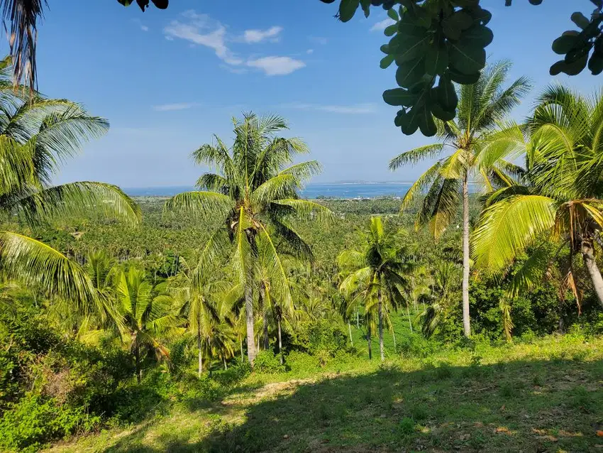 Di Jual Tanah Bukit Rangsot Sigar Penjalin