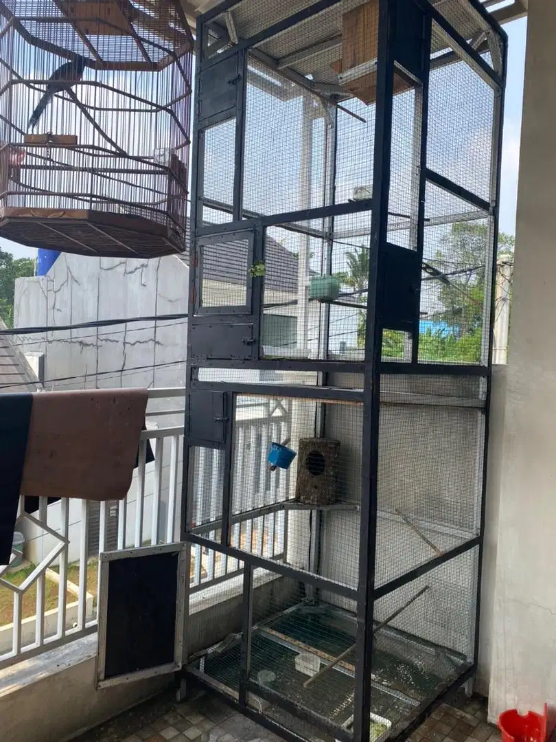 Kandang ternak burung murai