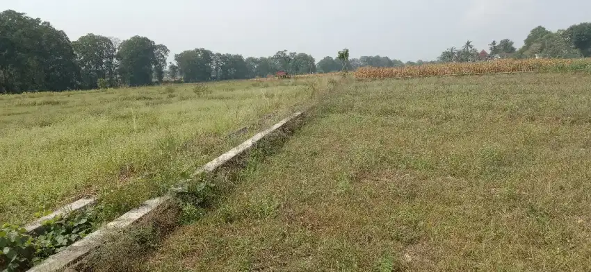 Sawah murah kota metro 23 karang rejo