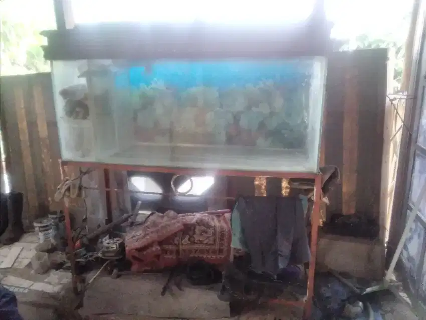 2 unit Aquarium, JUAL CEPET!