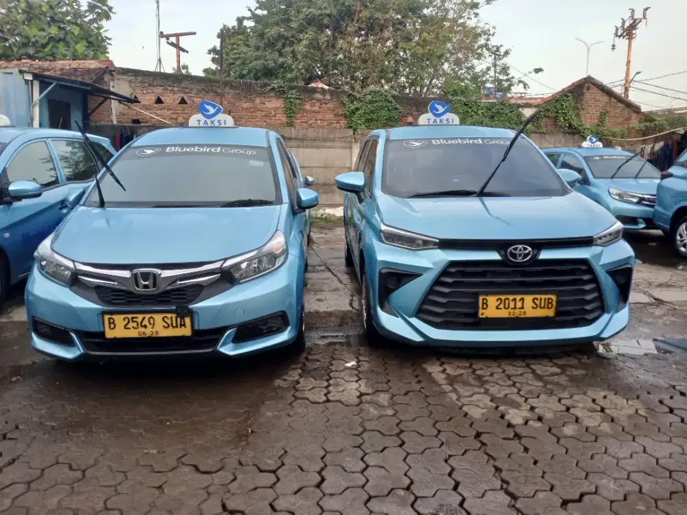 Pengemudi profesional.