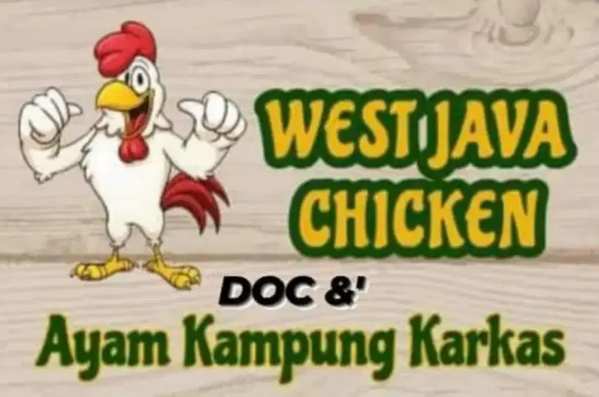 Doc ayam kampung