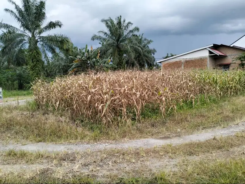 Tanah Kavling Dijual, SHM, dekat kantor Bupati Pasaman Barat