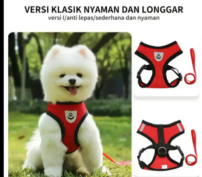 HARNESS ANJING KUCING + TALI (NEW IMPORT)