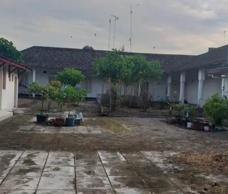 Dijual Rumah & Sarang Walet Rembang - Jawa Tengah