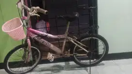 Sepeda wim cycle pink