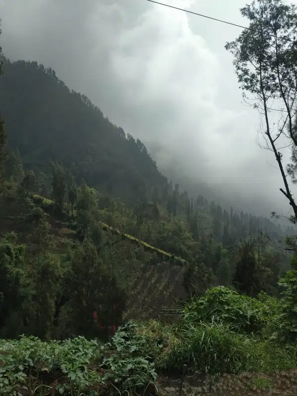 tanah view dikelilingi gunung