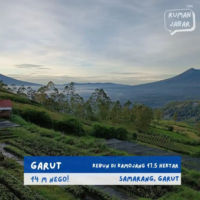 jual tanah kebun di kamojang garut jawa barat seluas 17.5 hektar