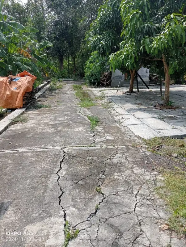 Tanah Dijual Bonus Rumah di kulwaru Wates