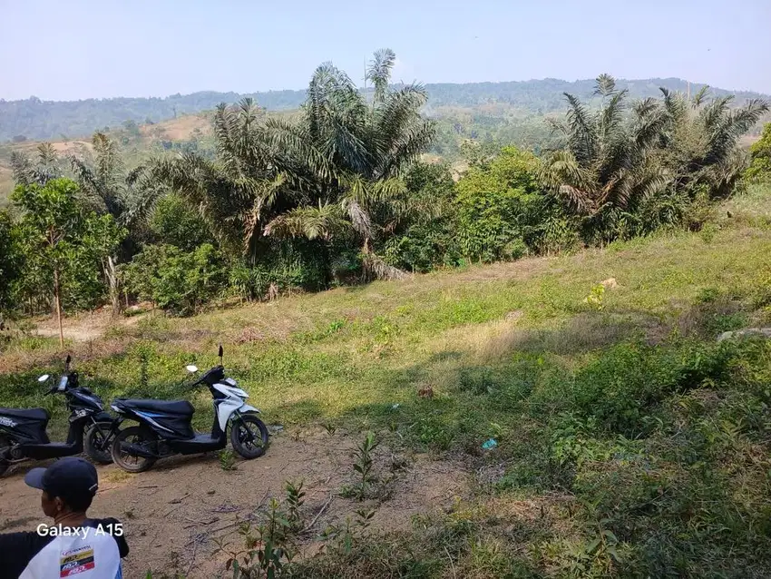 dijual tanah sukamakmur murah best view shm