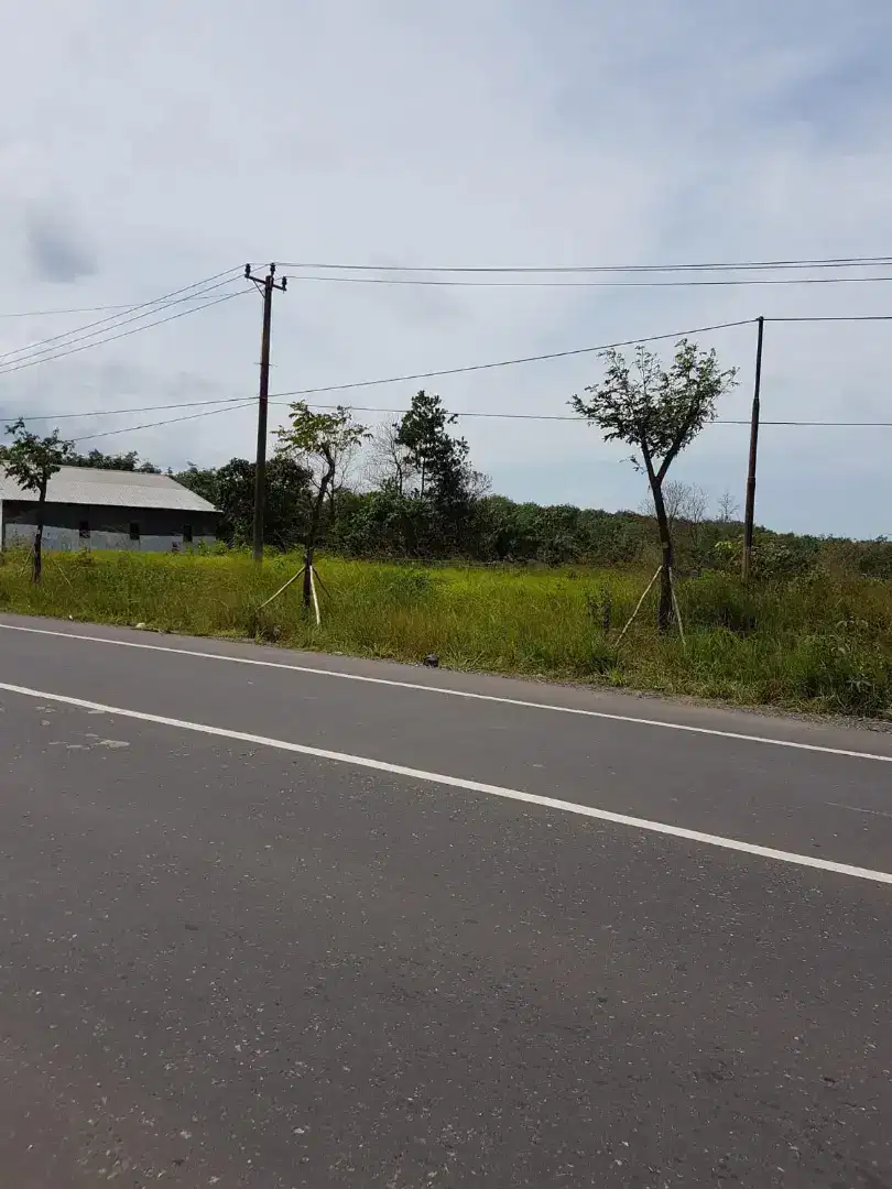 Tanah Kosong Strategis Pinggir Jalan Trans 300 Jorong, Dekat Pelabuhan