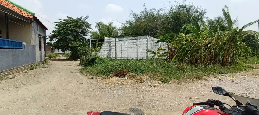 Dijual tanah pekarangan prambon row jalan lebar