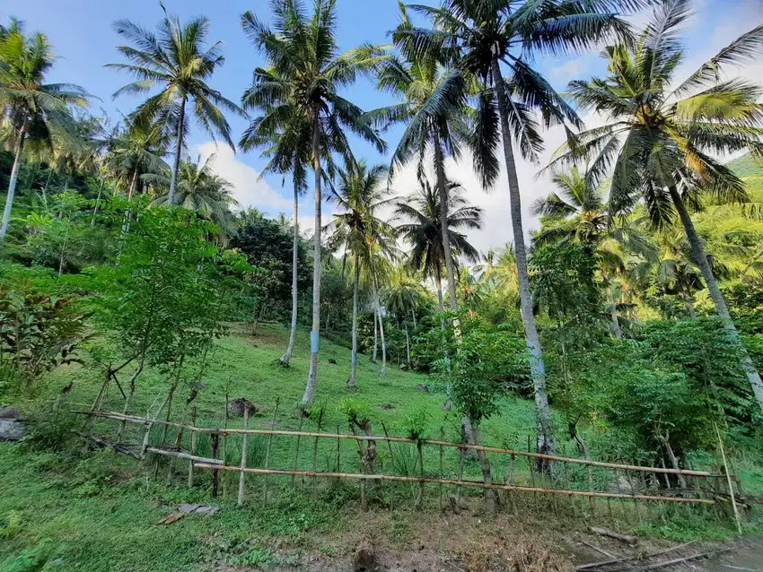 Tanah di Kerandangan cocok untuk Villa