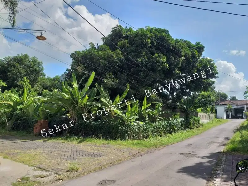 Dijual tanah hook di jalan pajajaran gang 2 Tamanbaru Banyuwangi kota