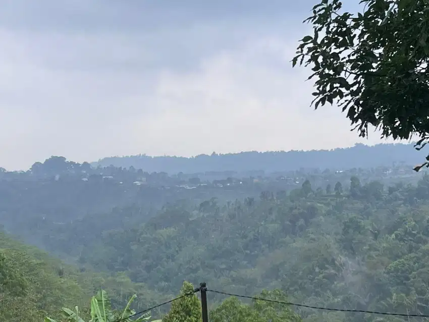 Tanah kebun luas kecil udara sejuk di tabanan bali