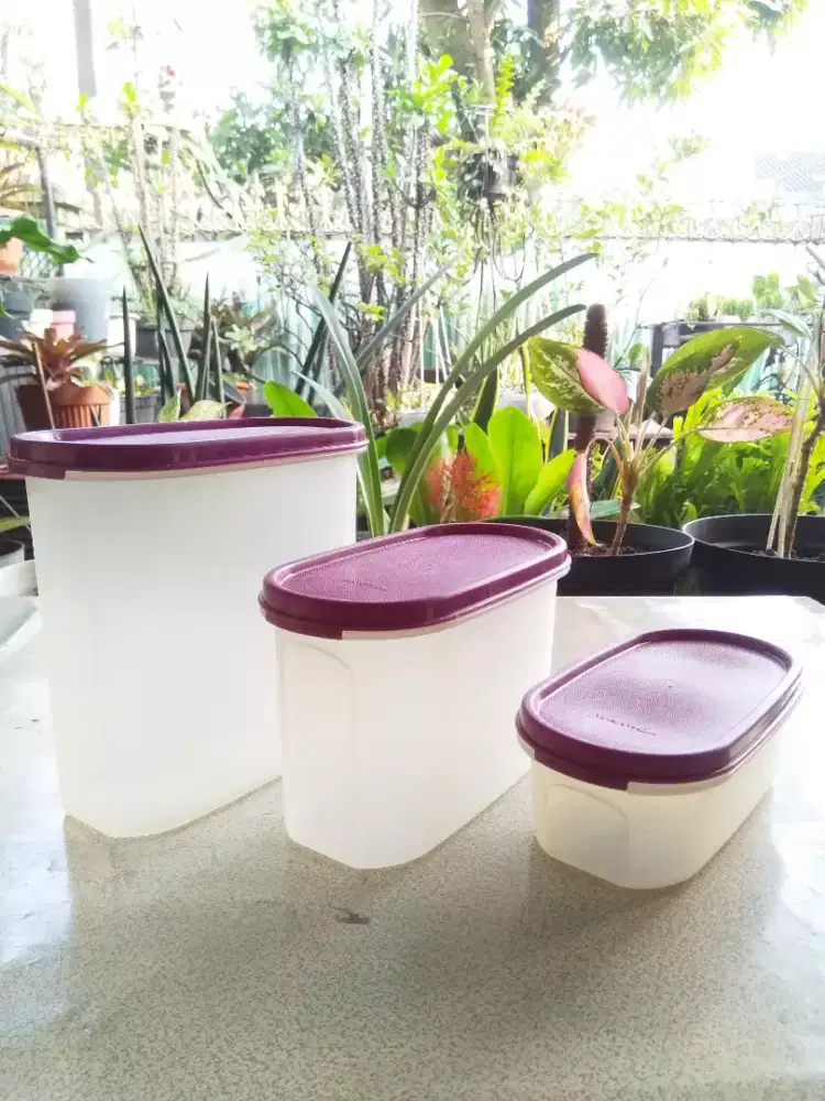 Tupperware Set 3 Pcs, Bentuk Oval, Warna Ungu, Toples Serbaguna
