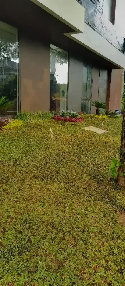 Jasa pembuatan taman