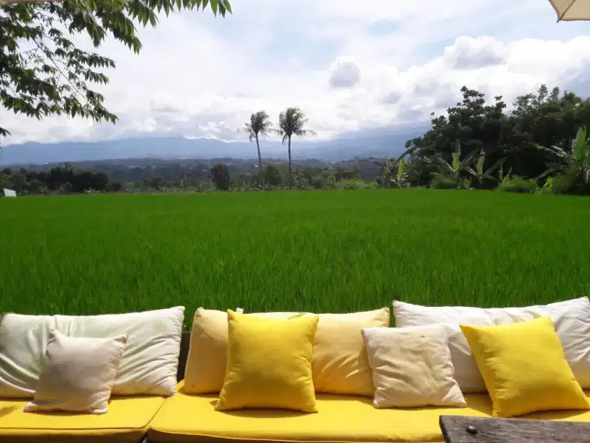Dijual lahan Vila murah Cijeruk