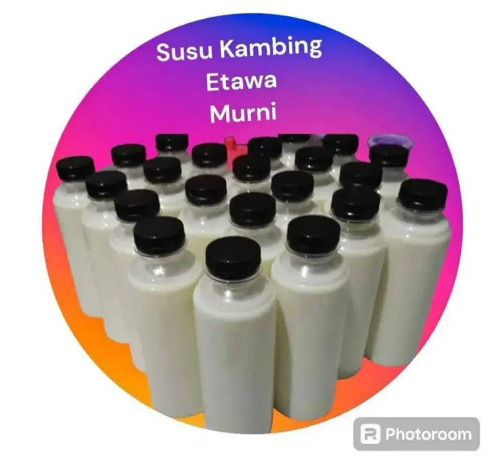 Susu Kambing Murni